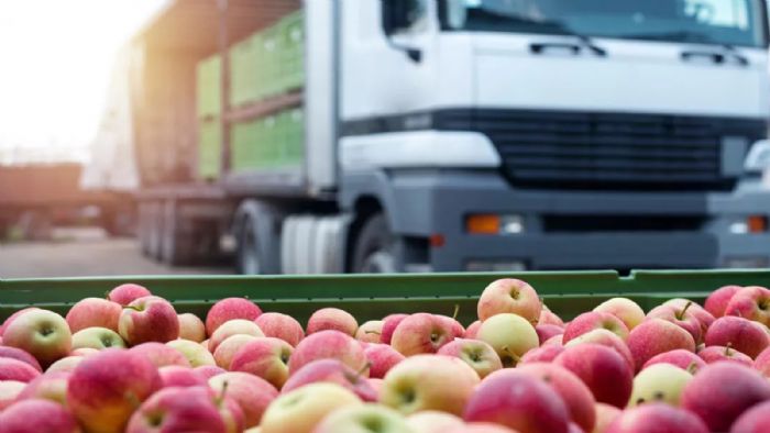Νευραλγικό ρόλο στο Food Logistics παίζουν τα βαρέα φορτηγά, εθνικών ή διεθνών μεταφορών.