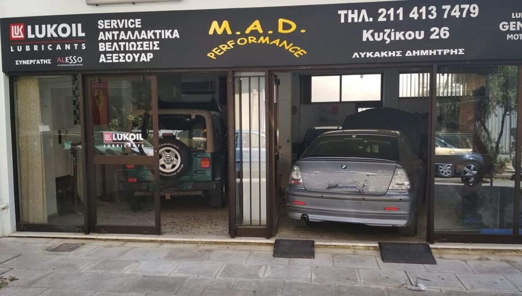 M.A.D. PERFORMANCE - ΛΥΚΑΚΗΣ ΔΗΜΗΤΡΗΣ