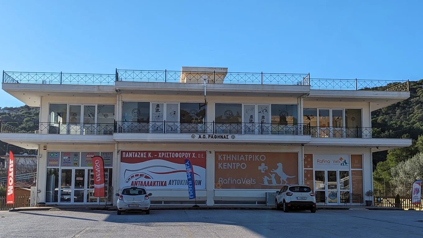 ΒΙΚΤΩΡ ΠΑΝΤΑΖΗΣ
