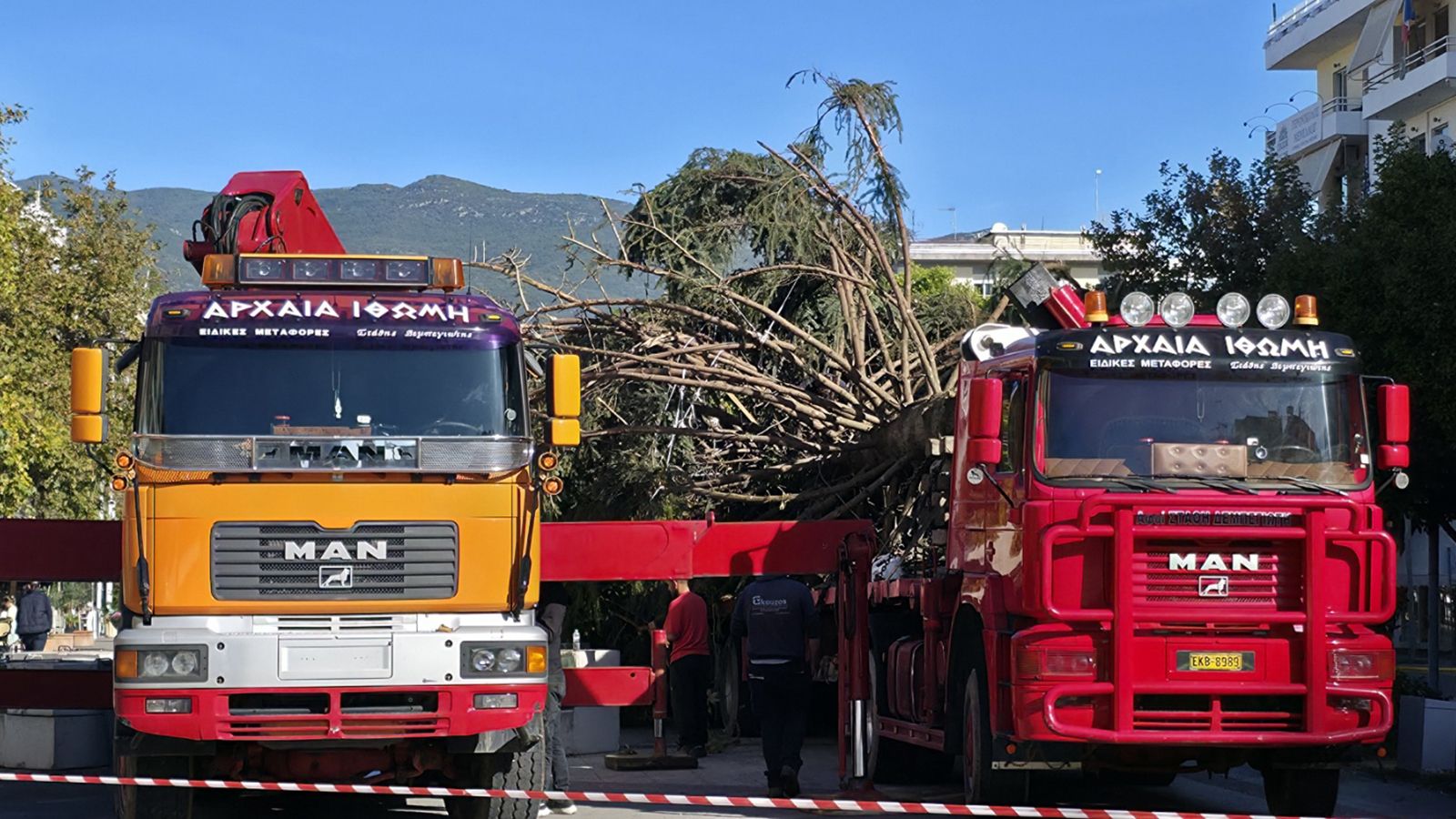 Με την αρωγή των φορτηγών MAN, τοποθετήθηκε το έλατο της Καλαμάτας!