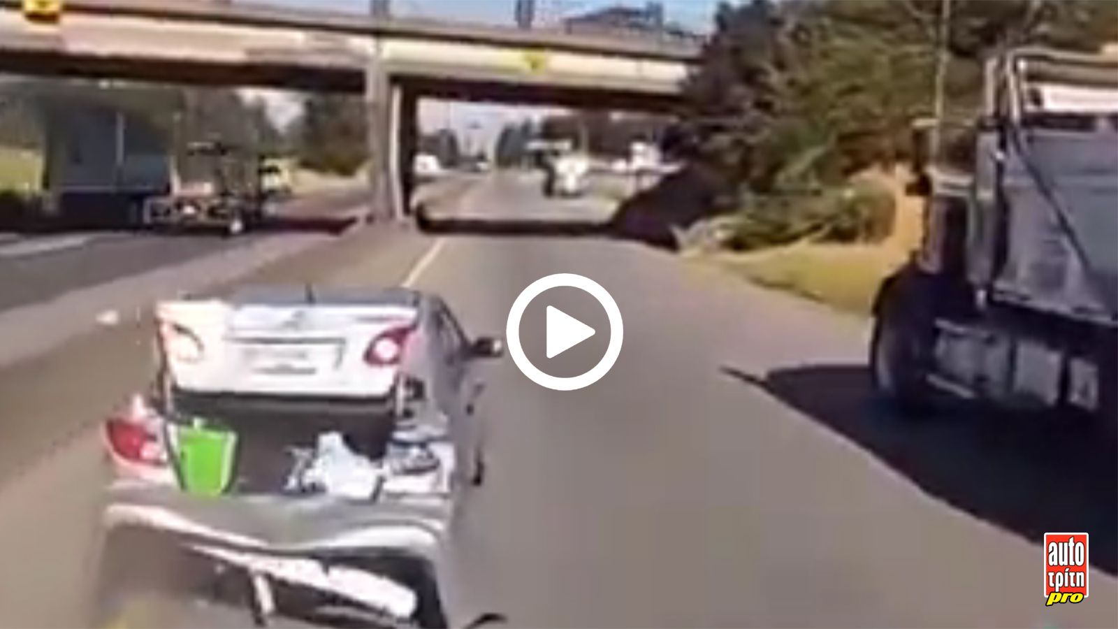 VIDEO: φοβήθηκε, κοκάλωσε & την έφαγε από πίσω