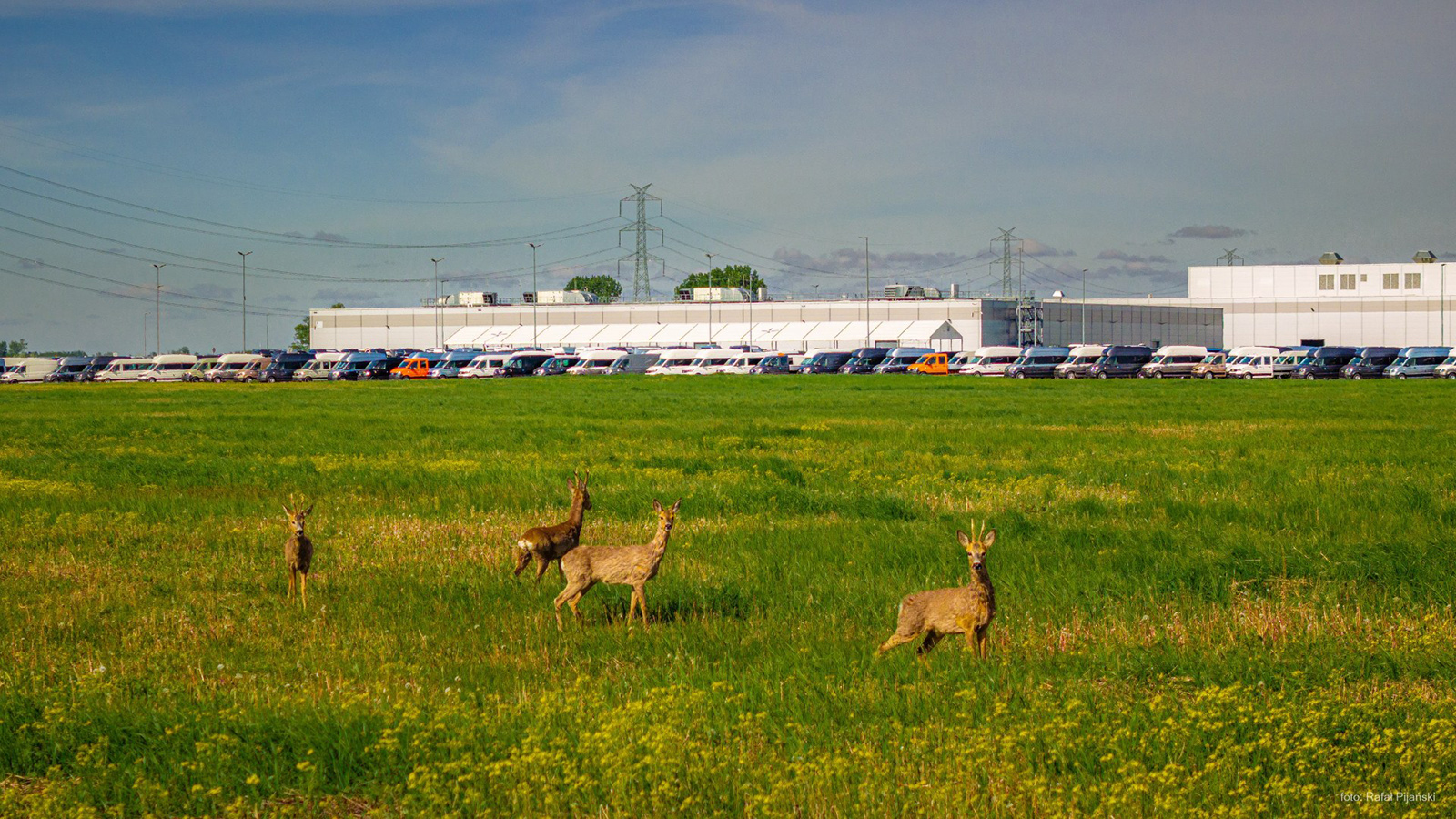 Το οικολογικό προφίλ της Volkswagen στην Πολωνία!